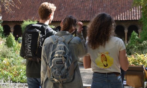 Wgr-student-wandeldag